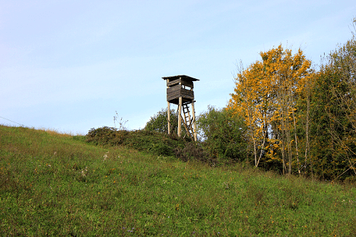 slika opazovalnice